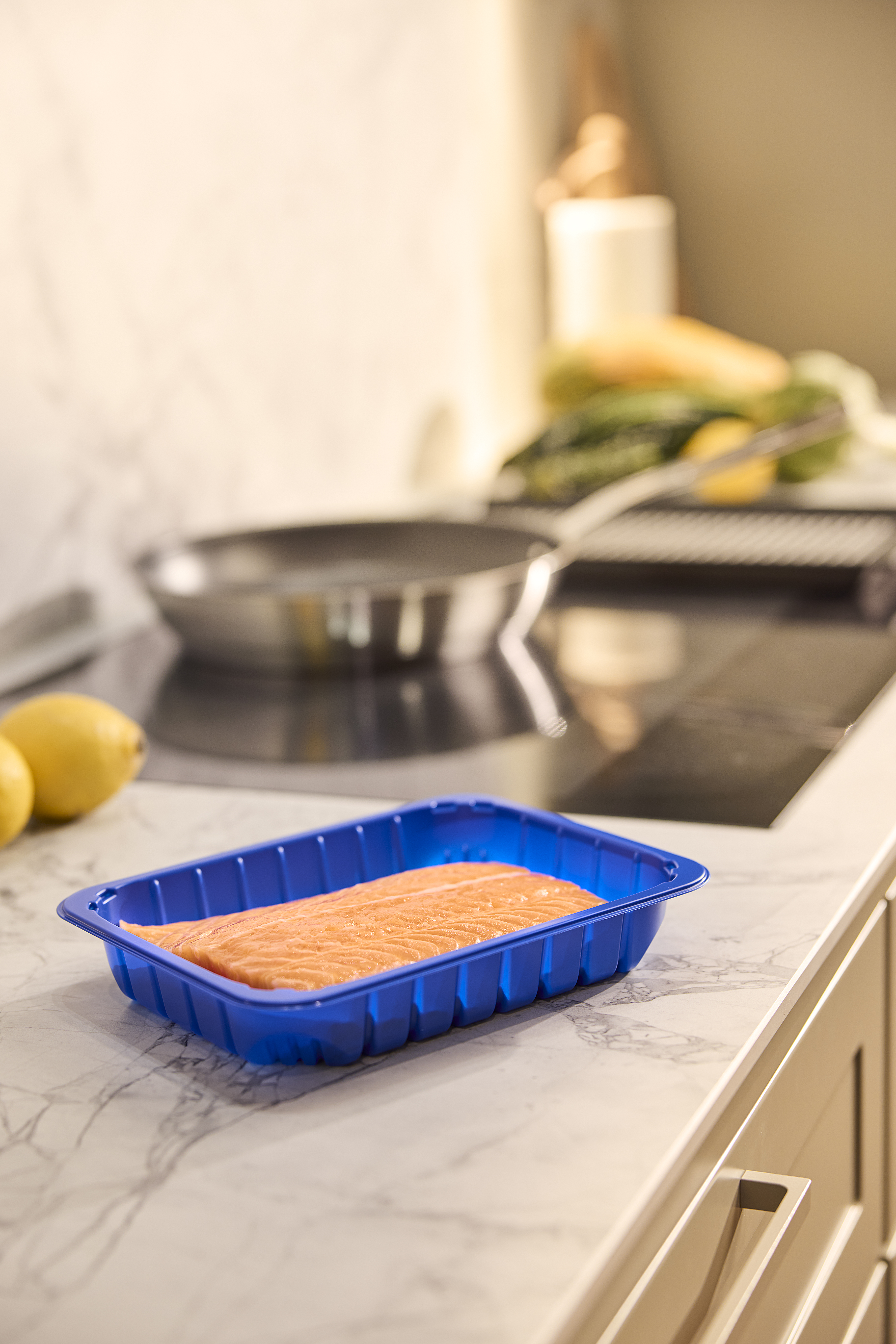 APET_Mapet_Blue_Fish_Kitchen (2)