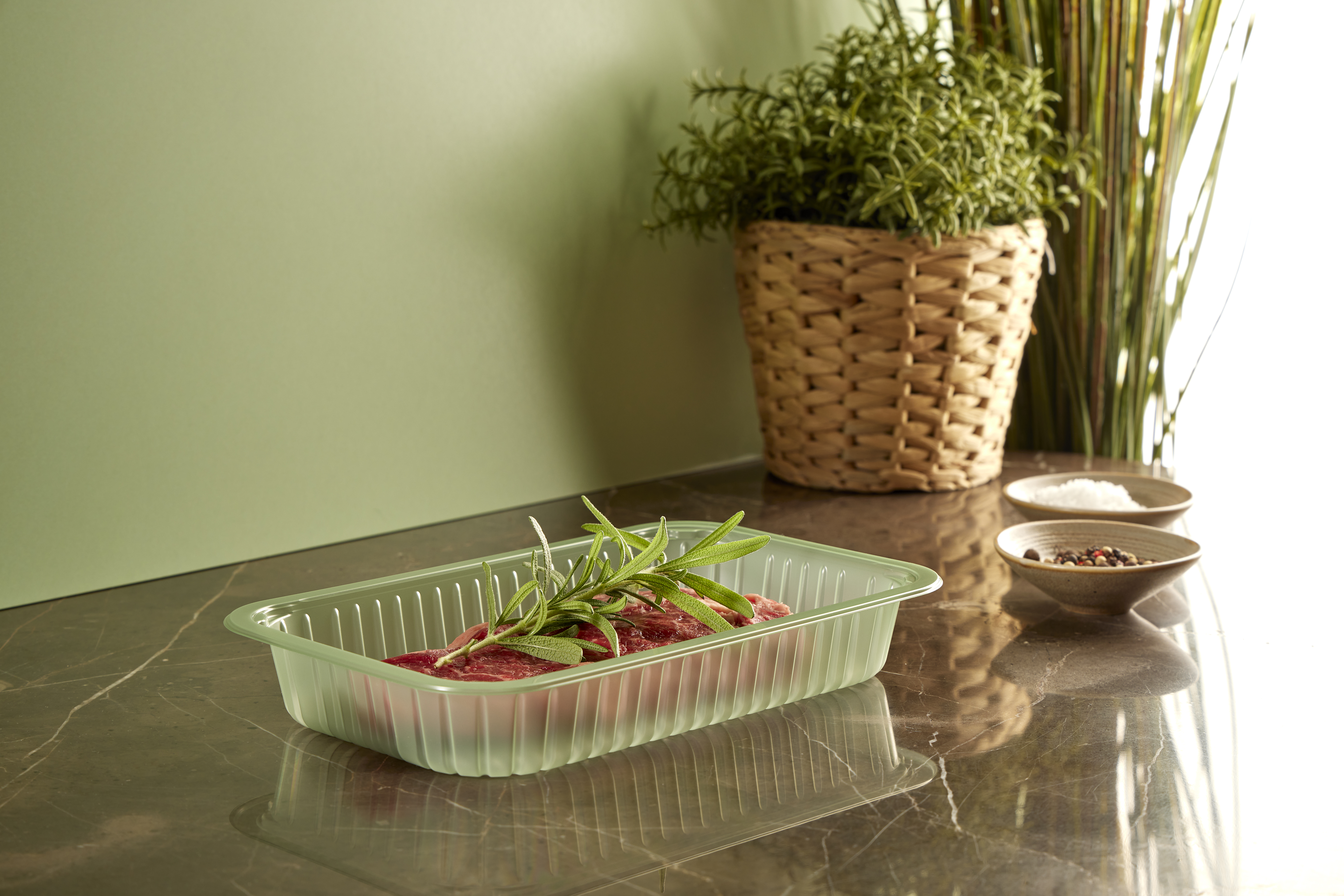 APET_Evolve_Steak_Studio (3)