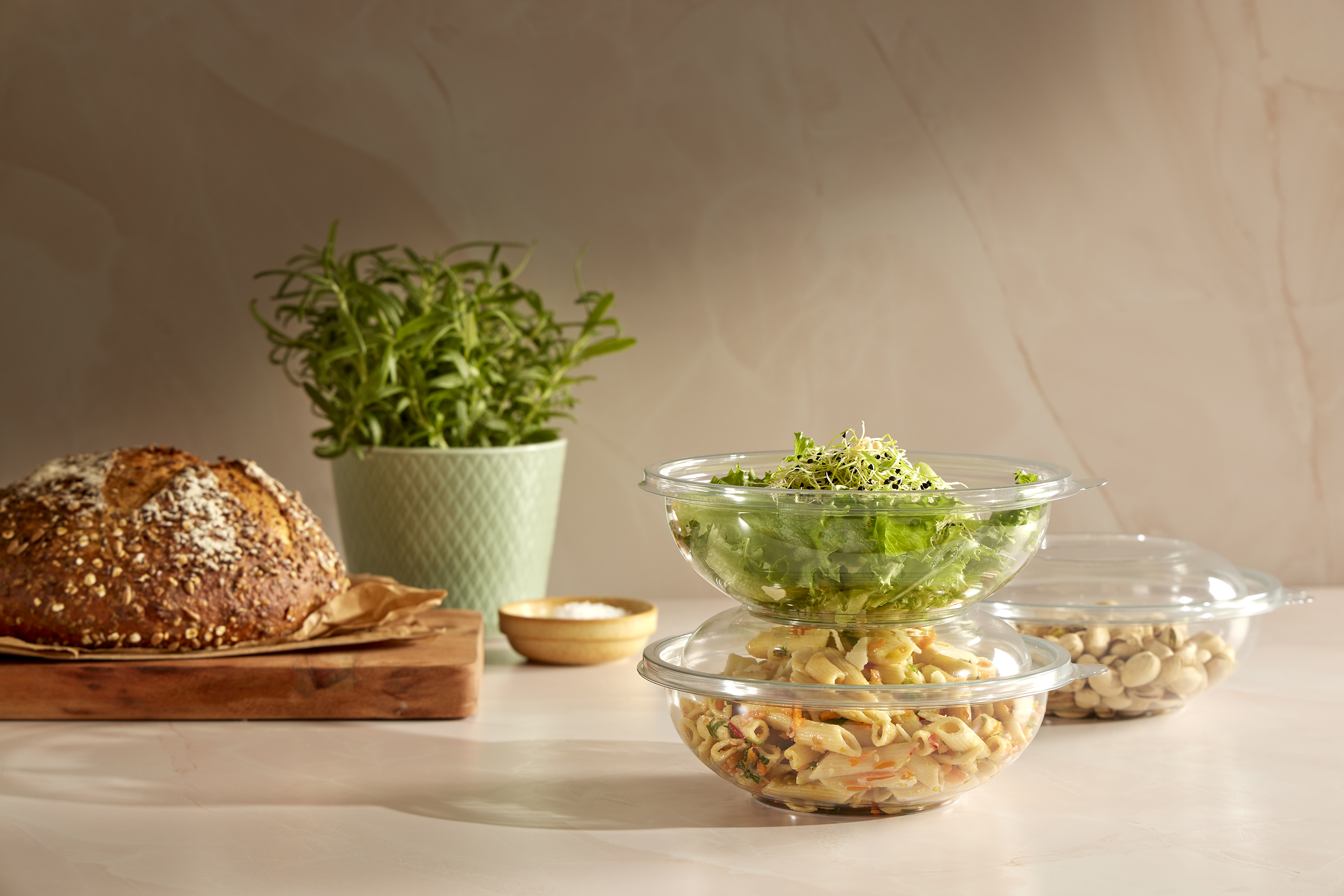 APET_Transparent_Salad_Studio (2)