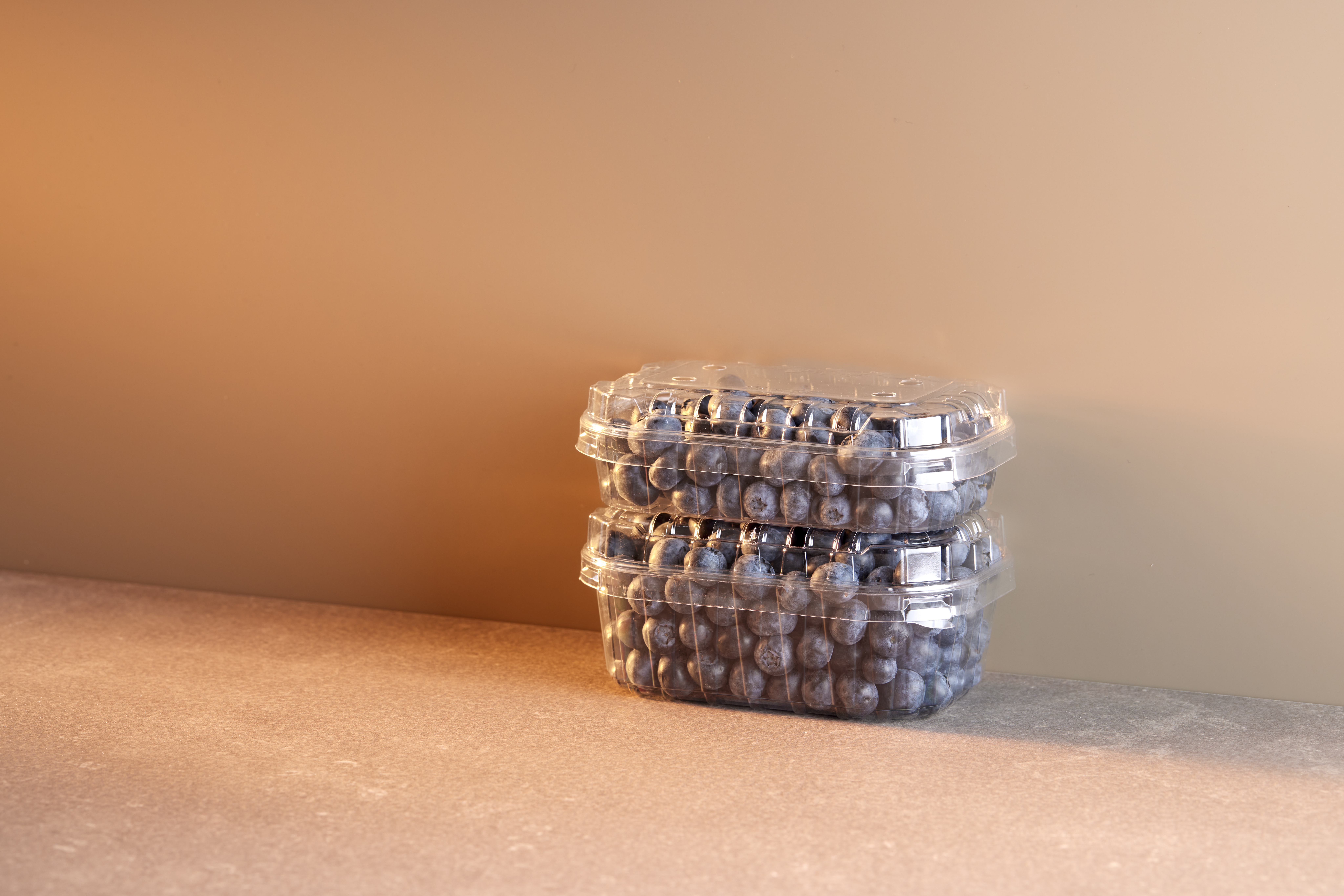 APET_Transparent_Blueberry_Fresh_ fruit(5)