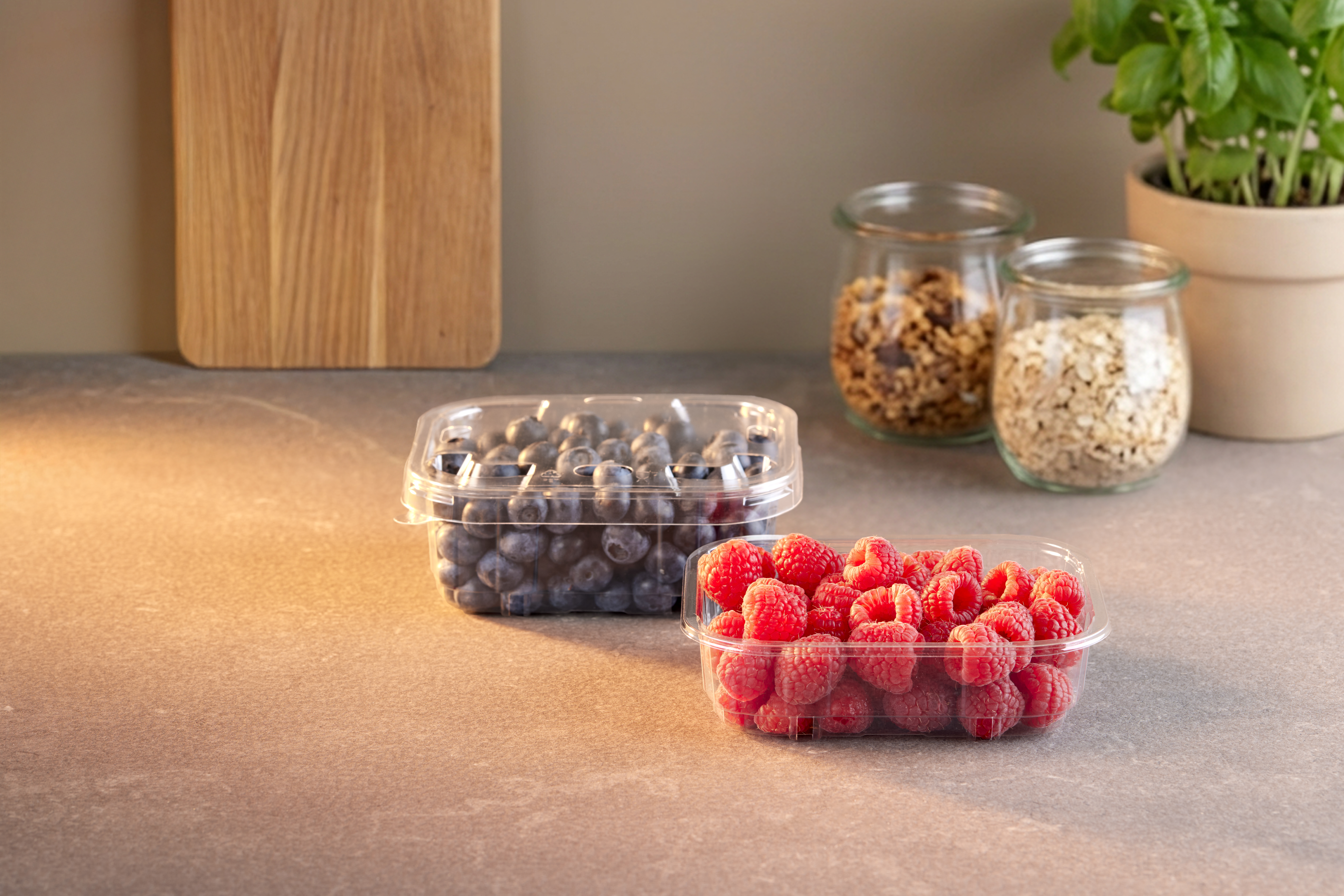 APET_Transparent_Blueberry_and_Raspberry_Fresh_fruit(1)