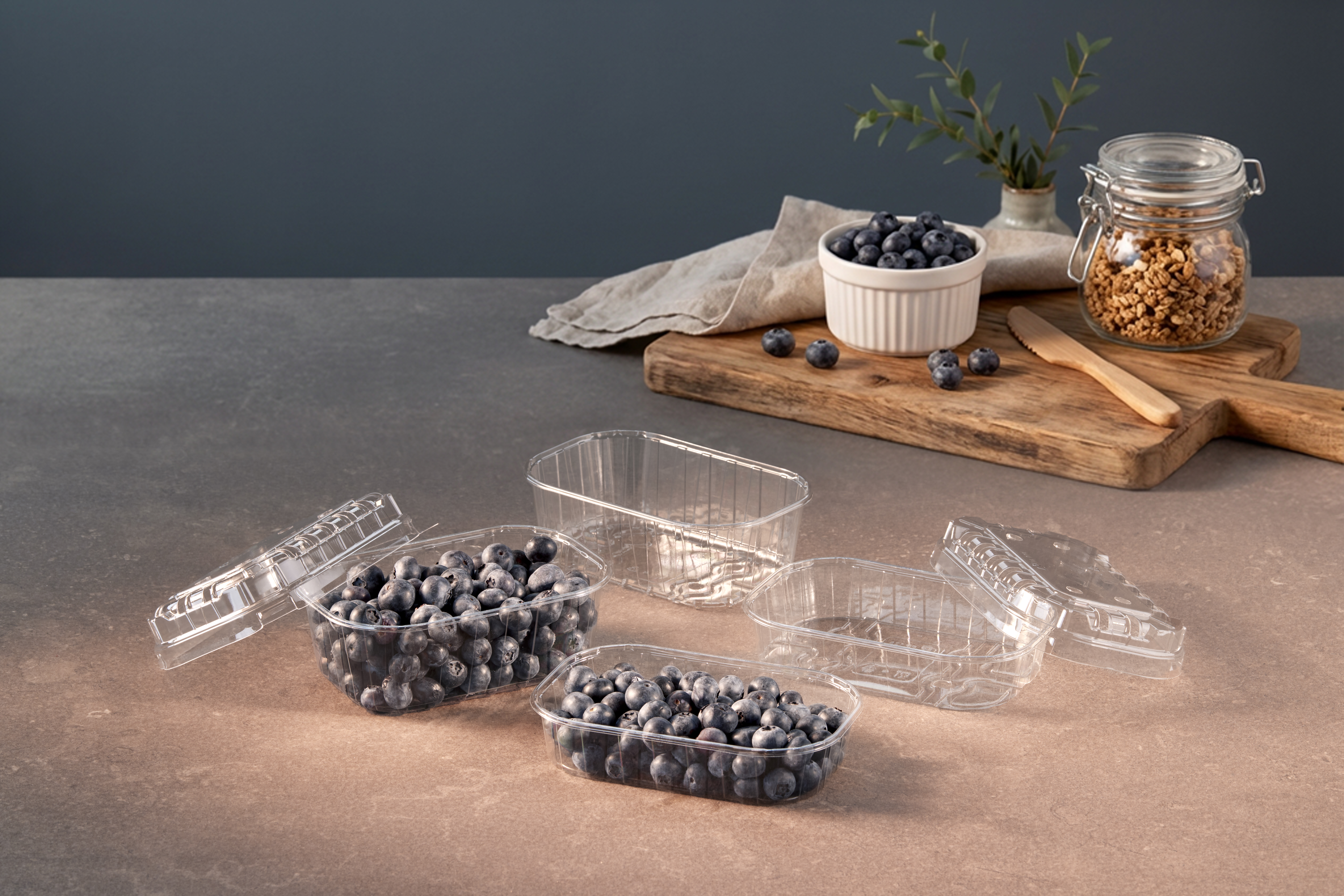 APET_Transparent_Blueberry_Fresh_ fruit(8)