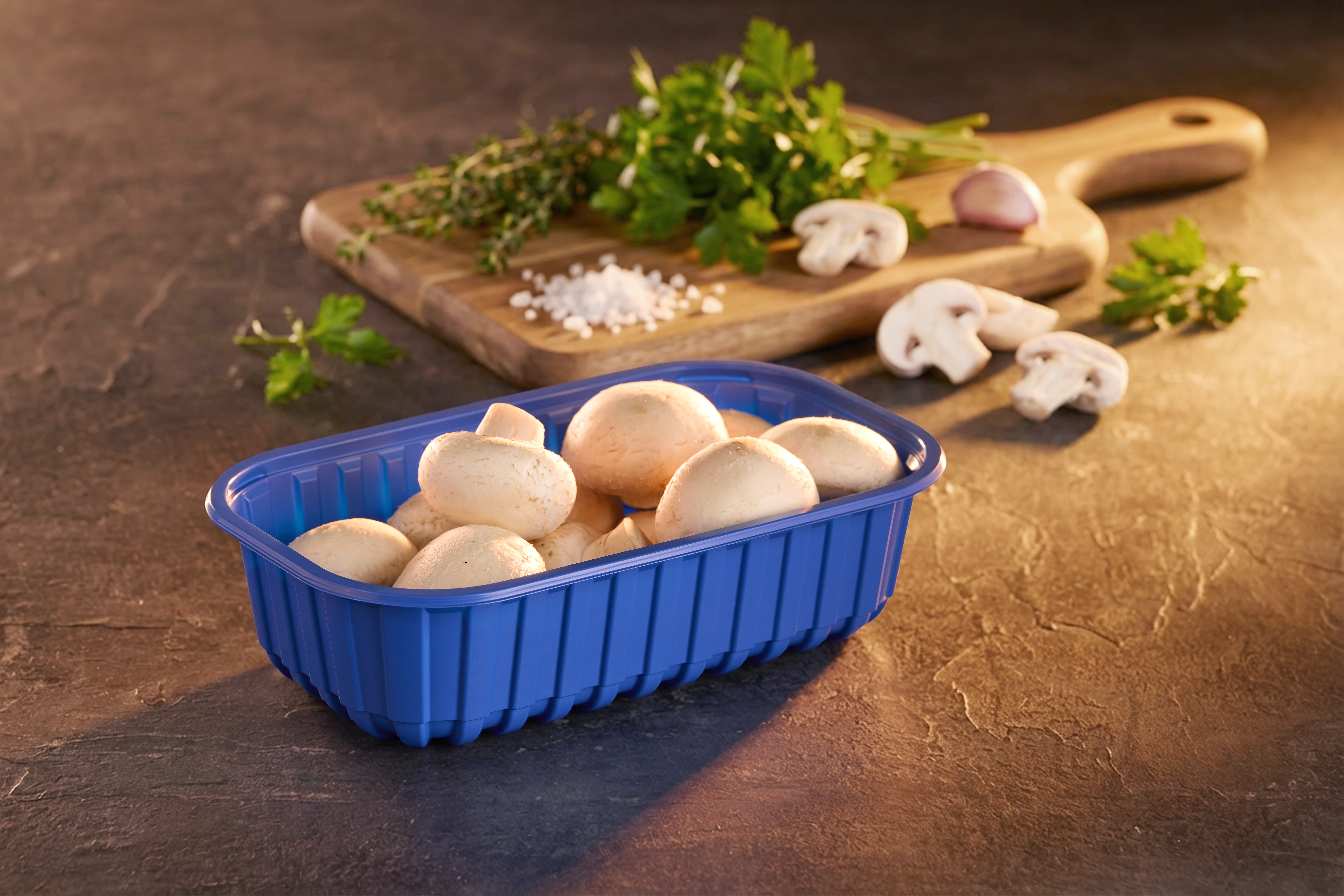 PP_Blue_Mushroom_Fresh_vegetables(6)