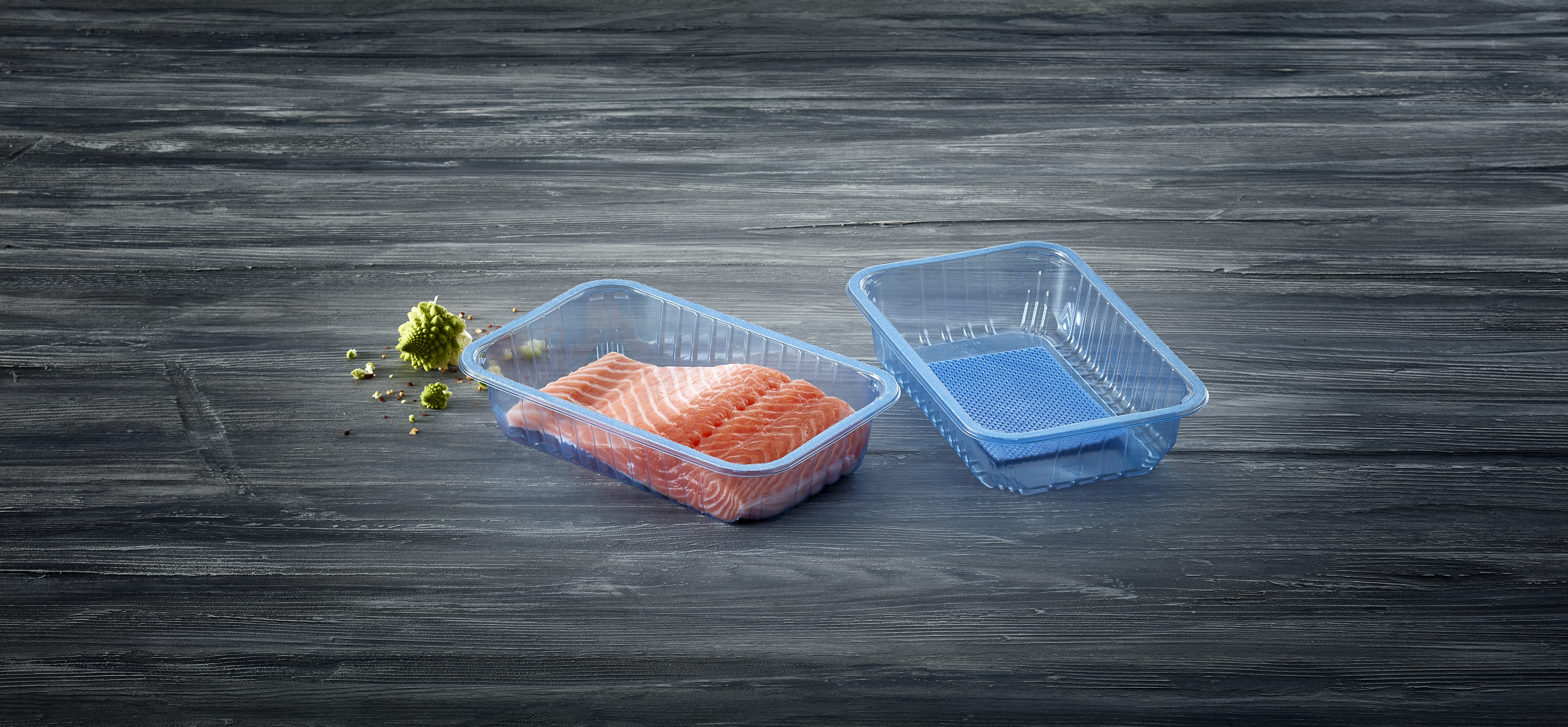 Transparent blue absorber pad tray with fish