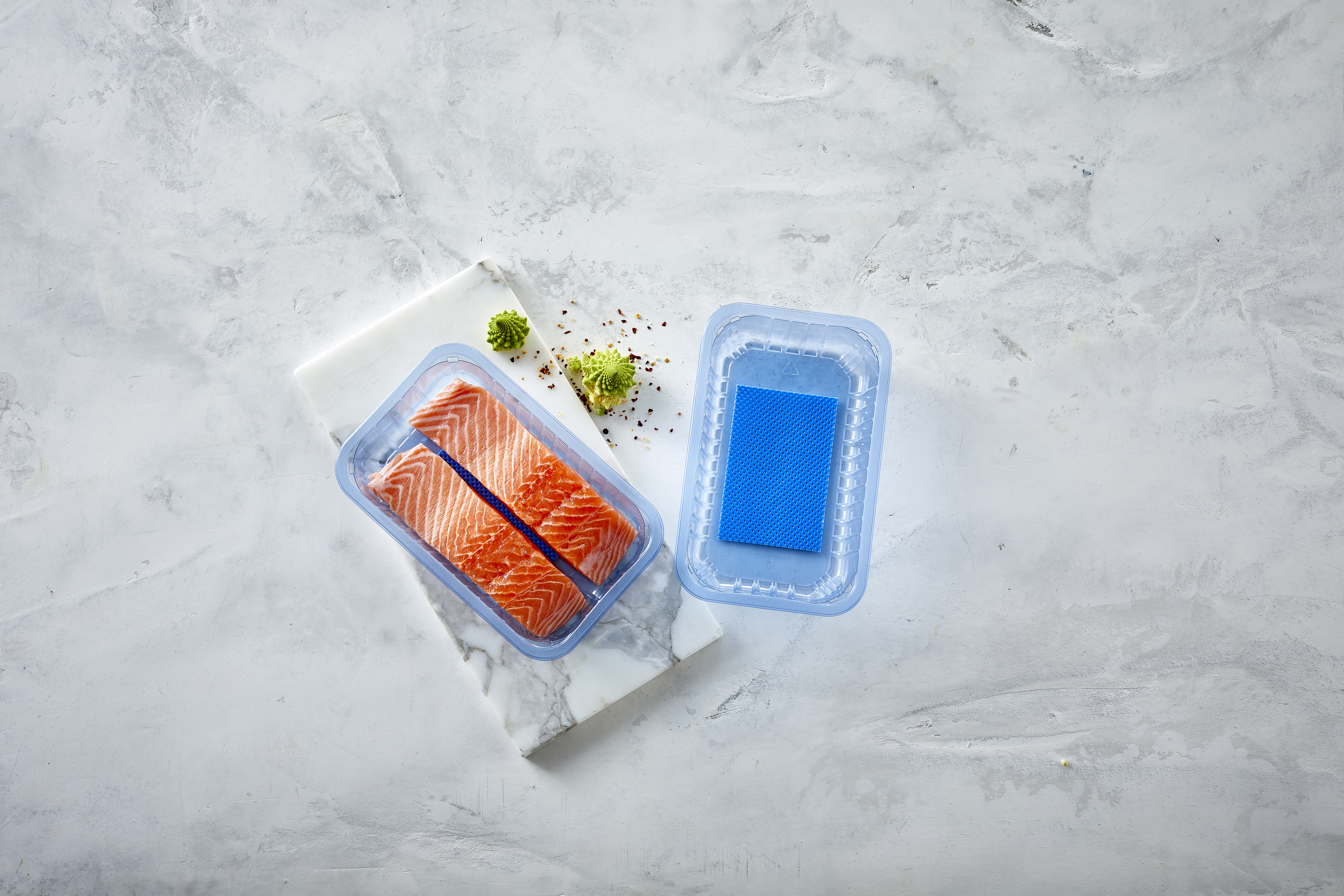 Transparent blue absorber pad tray with fish